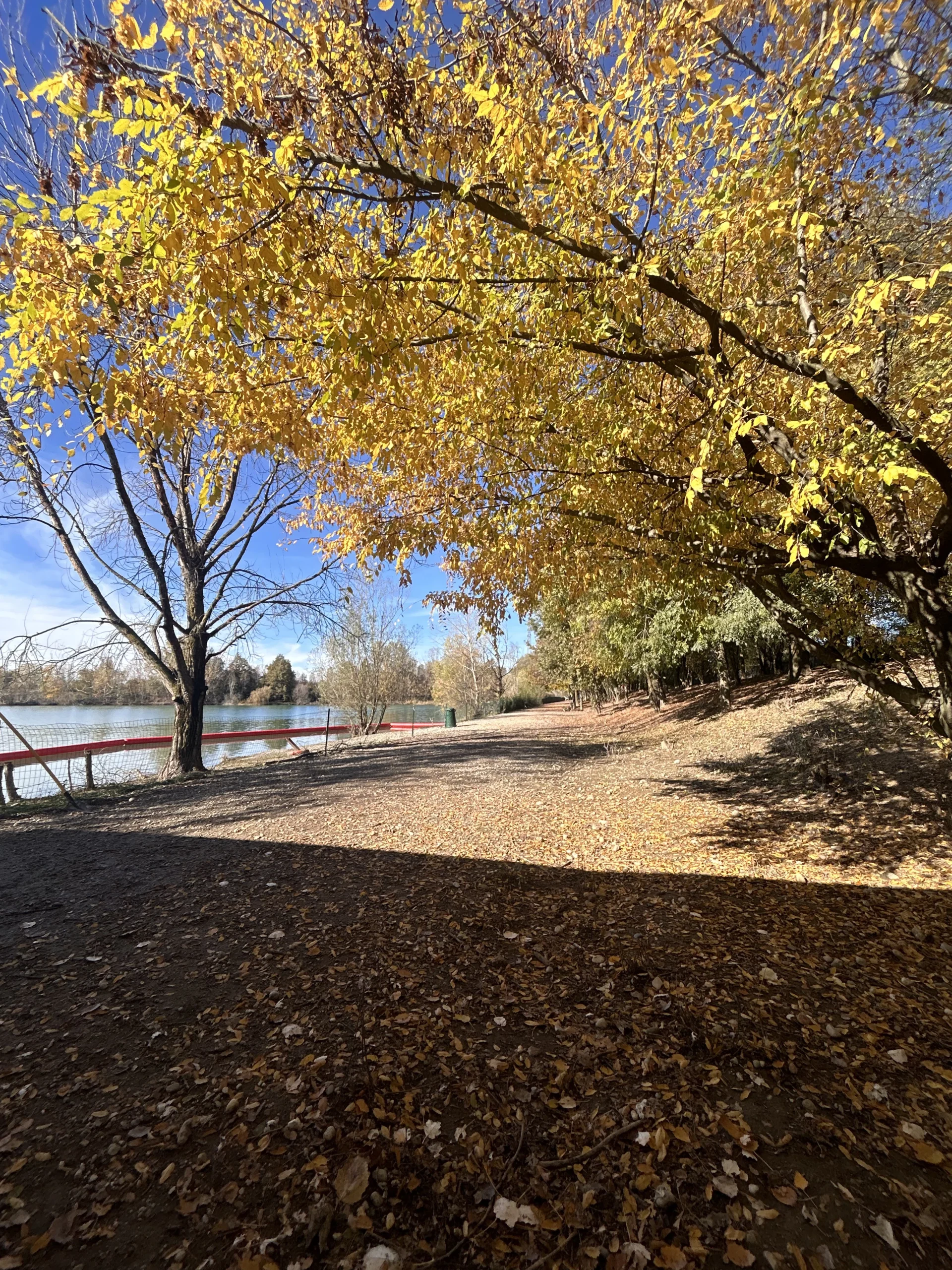 Staff Qualificato e Appassionato